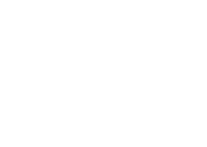Logo Vagues et Chromes